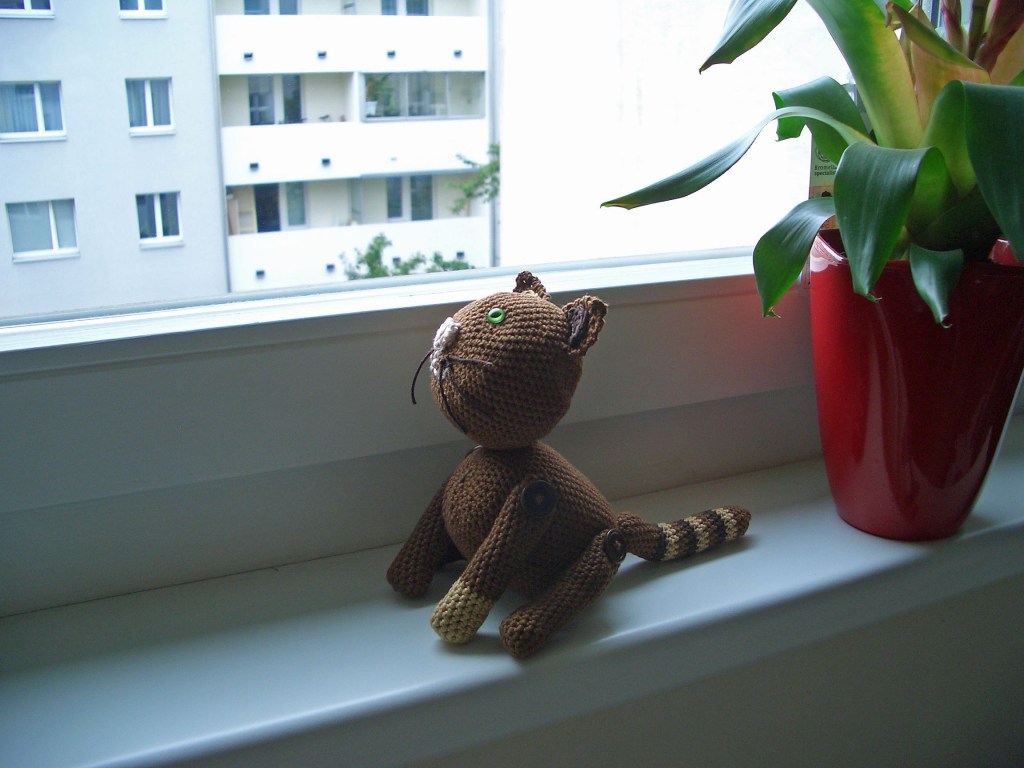 Katze